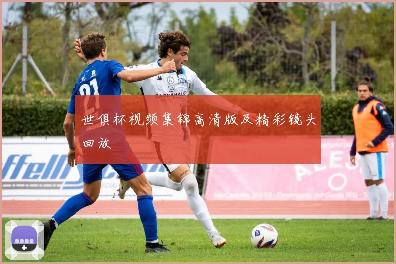 世俱杯视频集锦高清版及精彩镜头回放